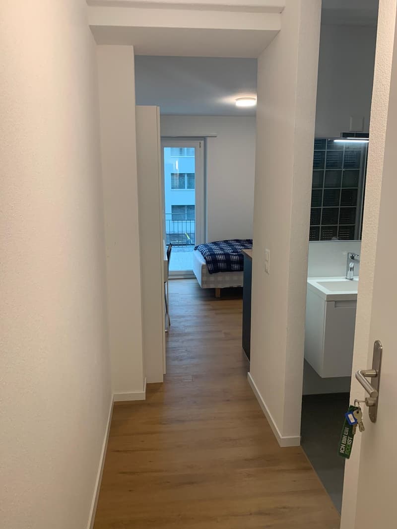Studio meublé avec balcon à un emplacement optimal à Zug (4)
