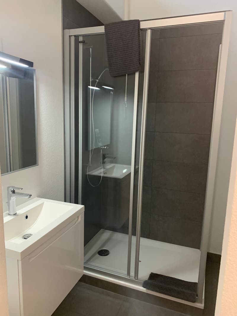 Studio meublé avec balcon à un emplacement optimal à Zug (5)
