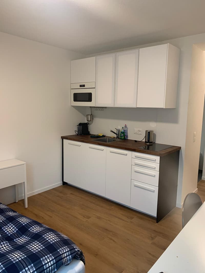 Studio meublé avec balcon à un emplacement optimal à Zug (1)