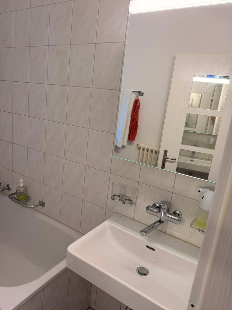 Appartement spacieux 4.5 pièces au centre de Goldau (10)