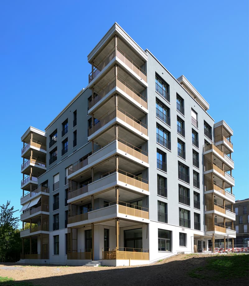 Moderne 3.5-Zimmer-Neubauwohnung in Cham zum Verkauf (1)