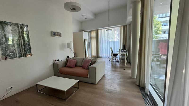 Moderne möblierte 2.5-Zimmerwohnung im Erdgeschoss (2)