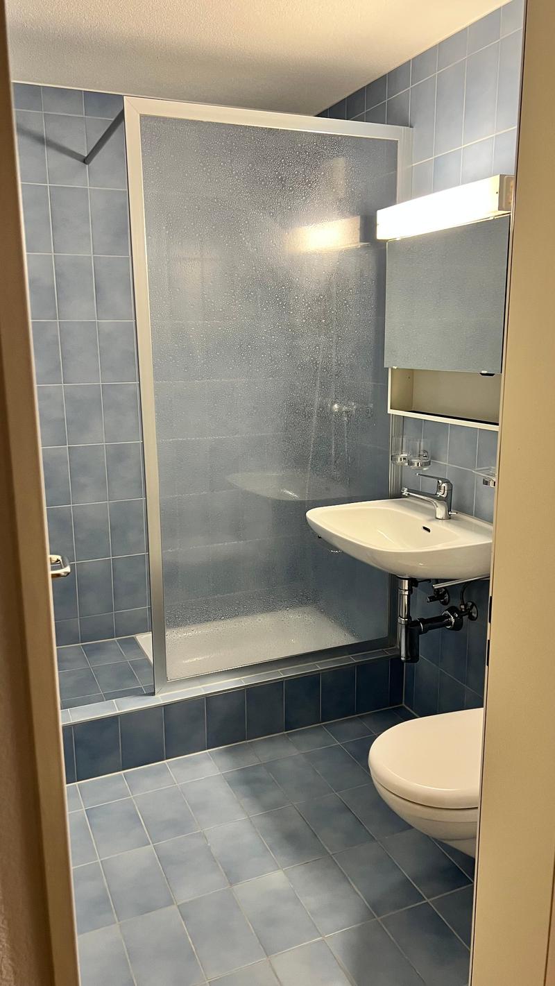 4.5-Zimmerwohnung in Oberwil bei Zug (11)