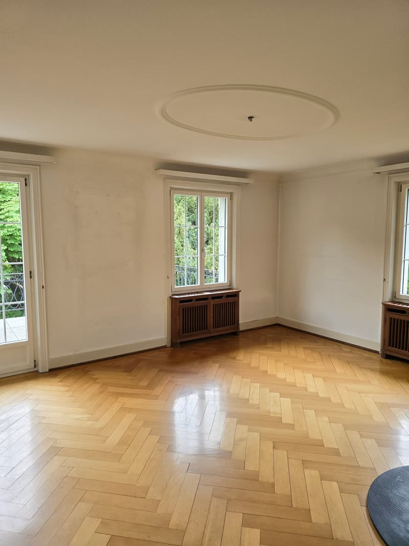 Charmante Altbau-Maisonettewohnung in einer Villa (6)