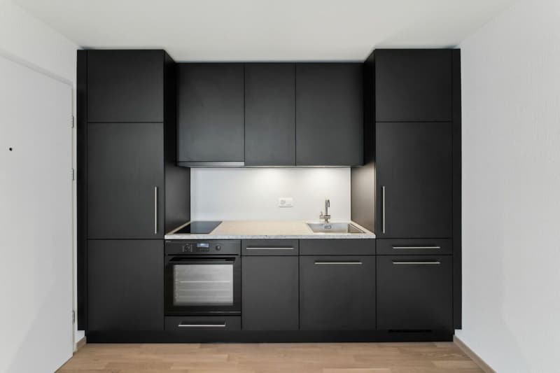 Appartement loft de 1,5 pièces fraîchement rénové (3)