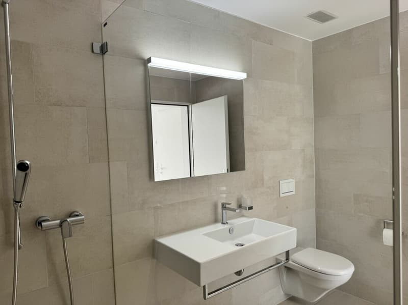 Garden apartment in Maienfeld with plenty of space and nature right outside the door (5)
