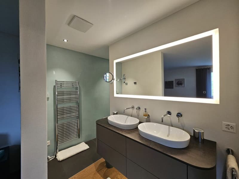 Originelle exklusive Terrassenwohnung in einer attraktiven Wohnlage in Sils i.D. (5)