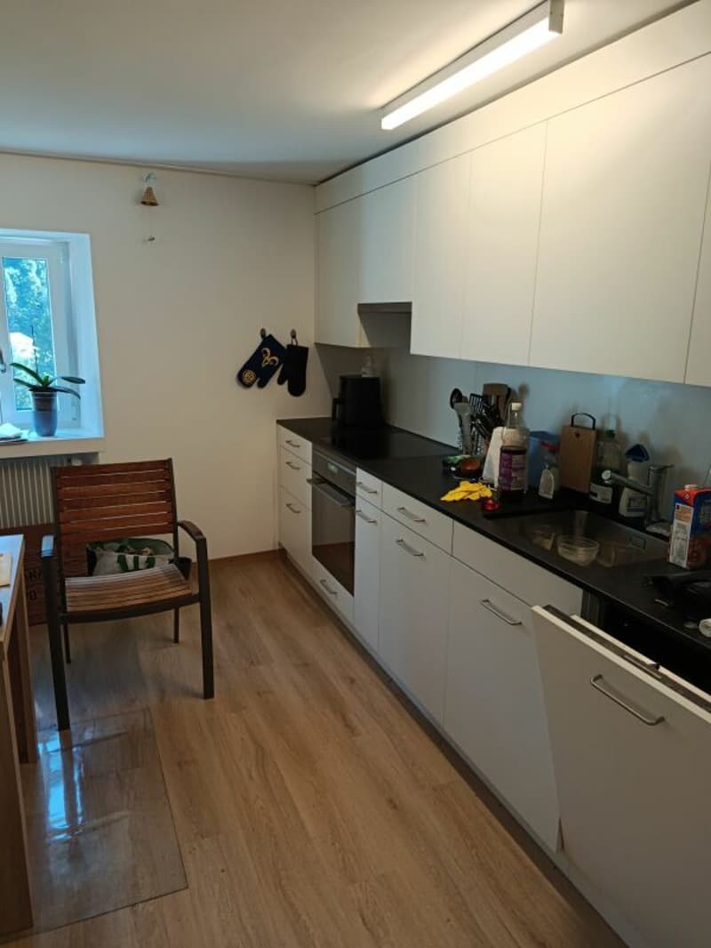 Sanierte 4.5-Zimmer-Wohnung mit Süd-Balkon mit Aussicht (6)