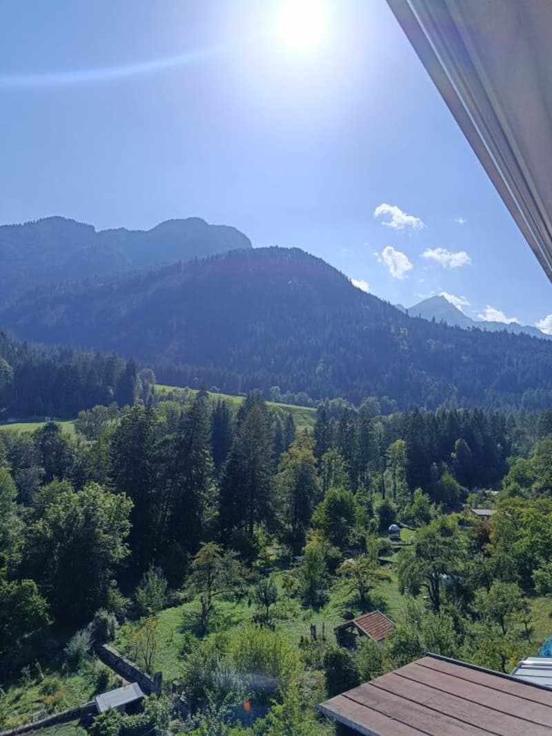 Sanierte 4.5-Zimmer-Wohnung mit Süd-Balkon mit Aussicht (1)