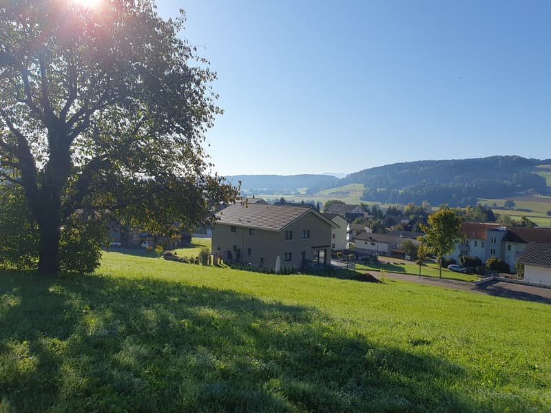 House on a hill, surrounded by green grass and trees, with a view of the mountains