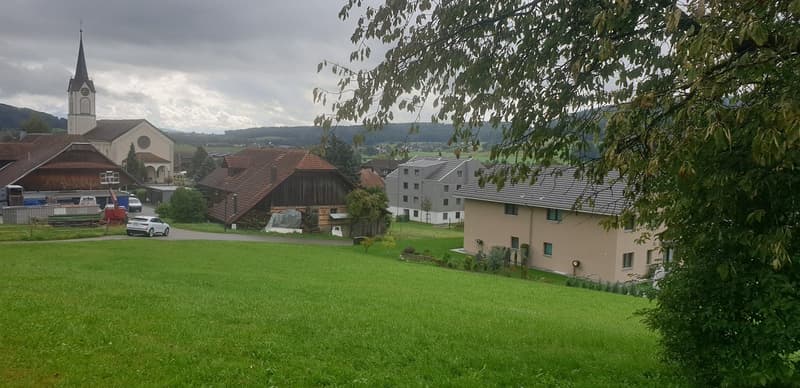 Houses in a village, green field, church, mountains in the background