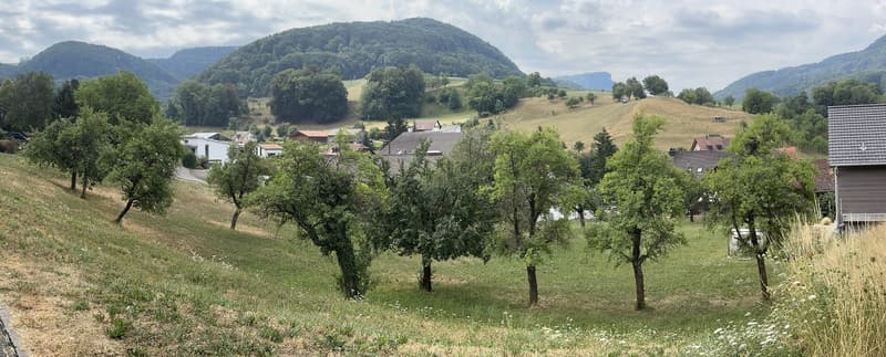 Casa unifamiliare + casa a schiera in una posizione idilliaca e tranquilla (2)