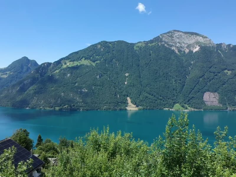 Casa familiare affascinante di 5,5 locali in una posizione idilliaca a Seelisberg (6)