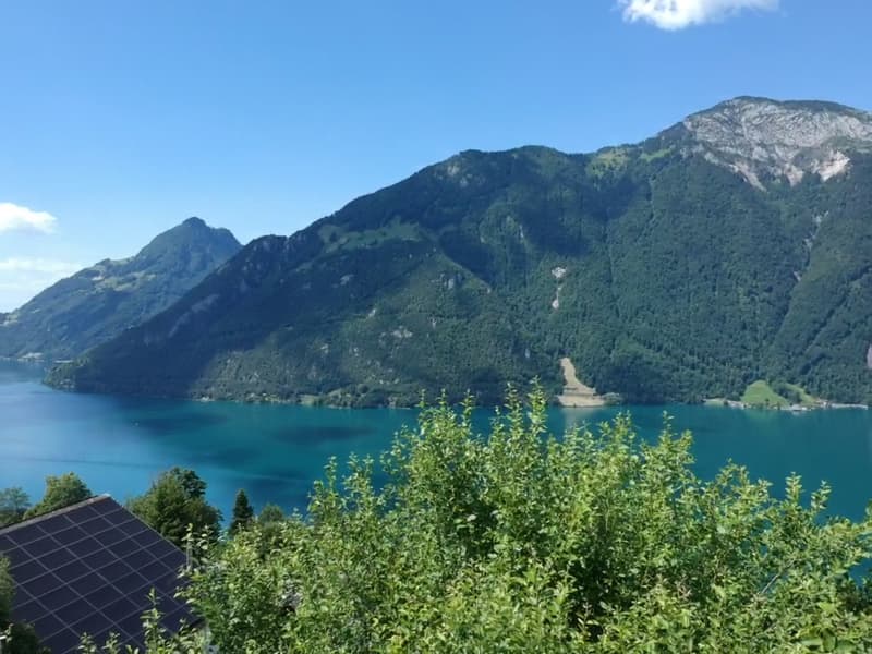 Casa familiare affascinante di 5,5 locali in una posizione idilliaca a Seelisberg (4)