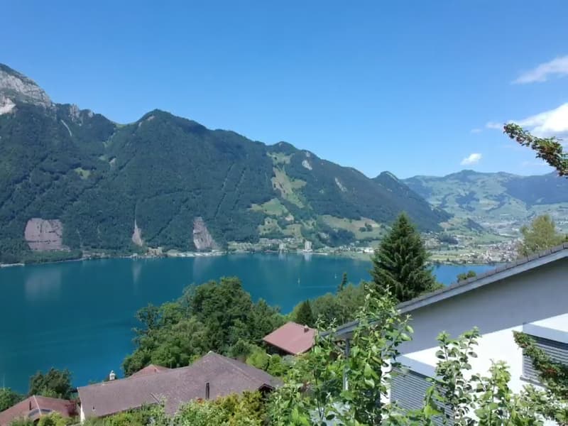 Casa familiare affascinante di 5,5 locali in una posizione idilliaca a Seelisberg (3)
