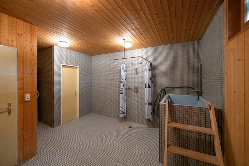 Appartement 4.5 pièces au 1er étage (sans ascenseur) - très proche de la nature (24)