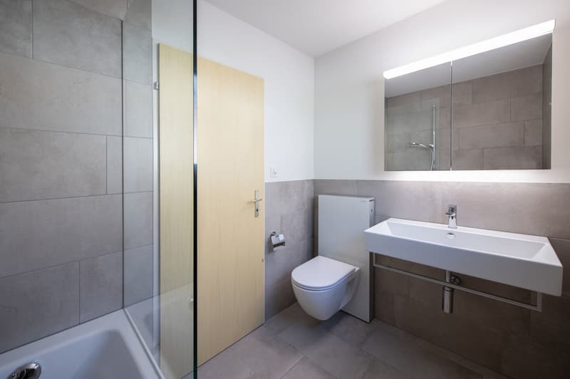 Appartement 4.5 pièces au 1er étage (sans ascenseur) - très proche de la nature (13)