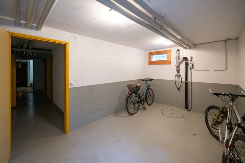 Appartement 4.5 pièces au 1er étage (sans ascenseur) - très proche de la nature (23)