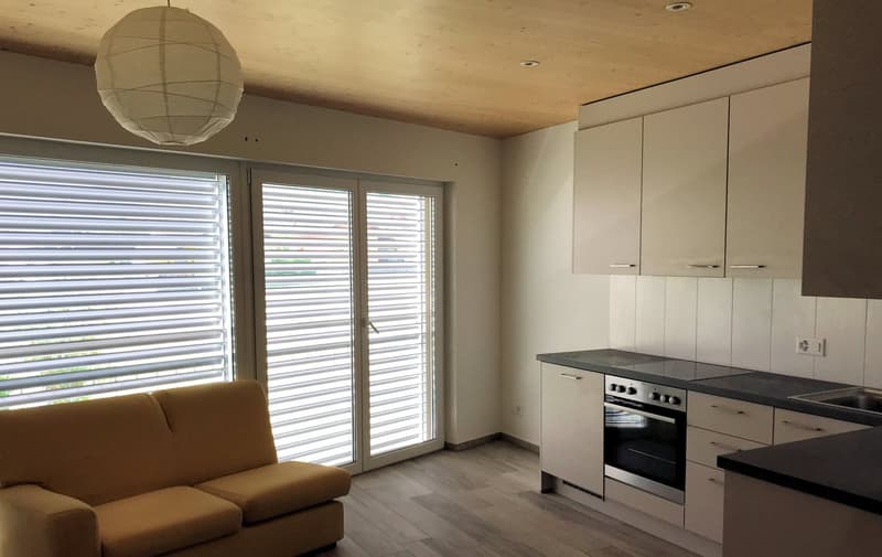 Appartement avec jolie terrasse dans la belle vallée de Blenio (7)