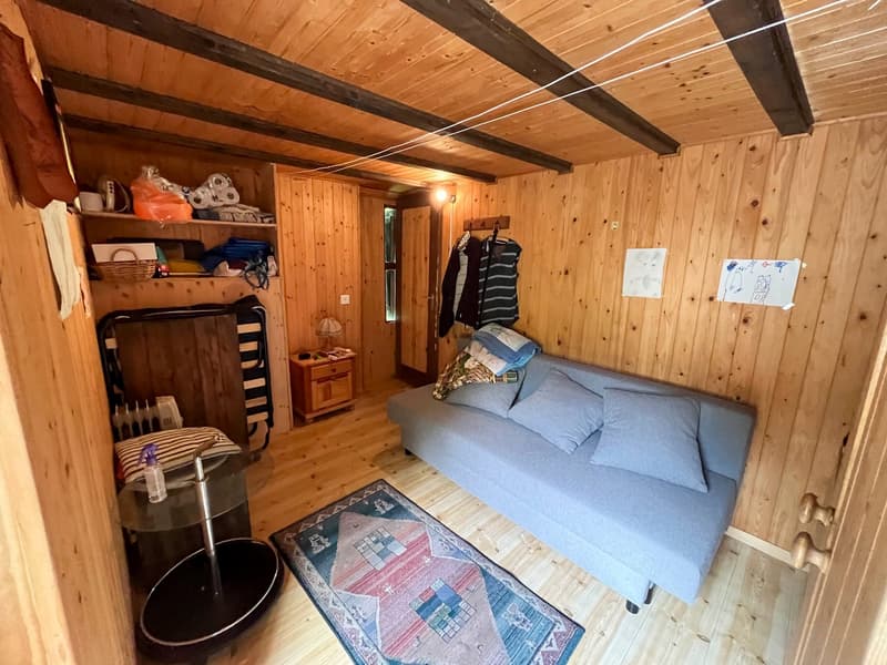 Living room with sofa, wooden floor, wooden walls, hanging clothes, rug, night stand, lamps, storage shelves