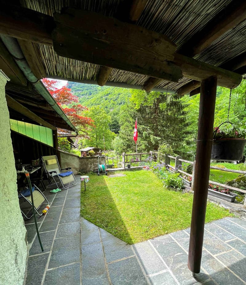 porch with wooden ceiling, chairs, garden with grass, trees, view