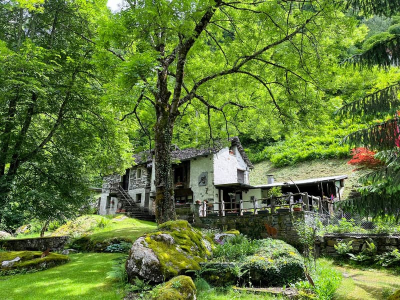 Originali rustici immersi nel verde (1)