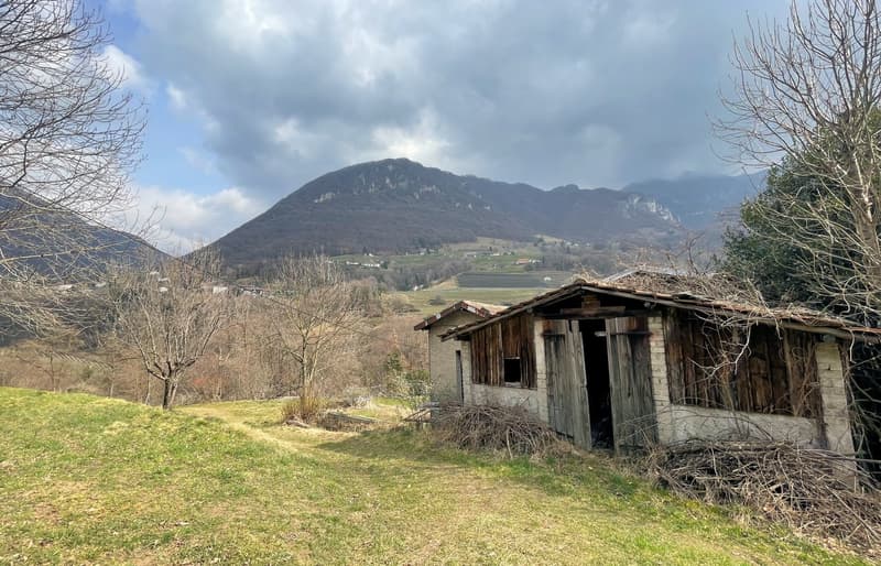 Terrain constructible de 1300 m² immergé dans la nature (6)