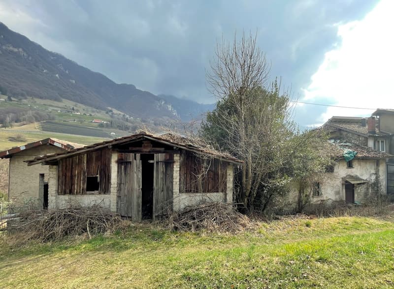 Terrain constructible de 1300 m² immergé dans la nature (7)