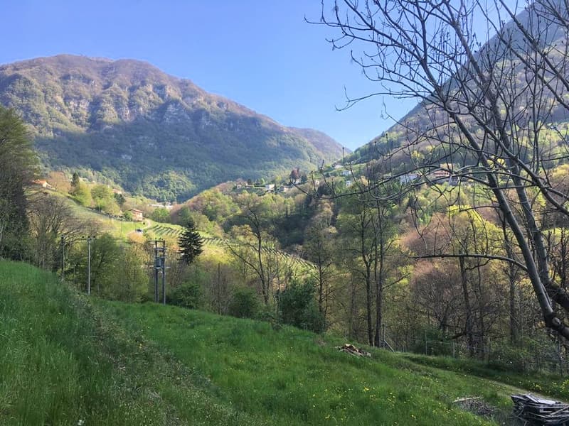 Terrain constructible de 1300 m² immergé dans la nature (8)