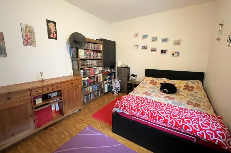 double bed, bookshelf, wooden cabinet, carpet, night table, desk, decorative items on the wall