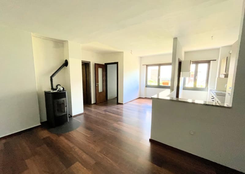 empty room, wooden floor, fireplace, white walls, two windows, open door