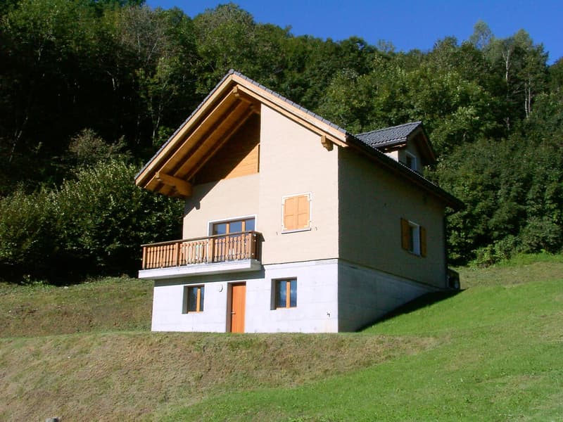Two-story house, beige, with wooden balcony, brown door, large windows, on a hill with green grass, surrounded by forest