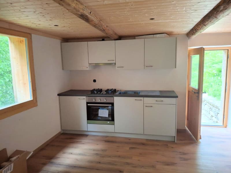 Kitchen with appliances, wooden floor, large window, wooden ceiling