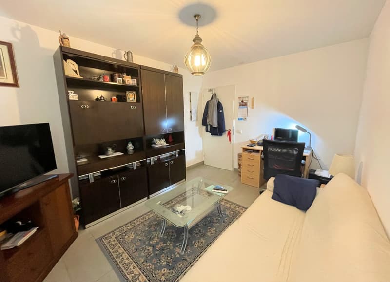 Spacious apartment with large terrace in a very quiet area (9)