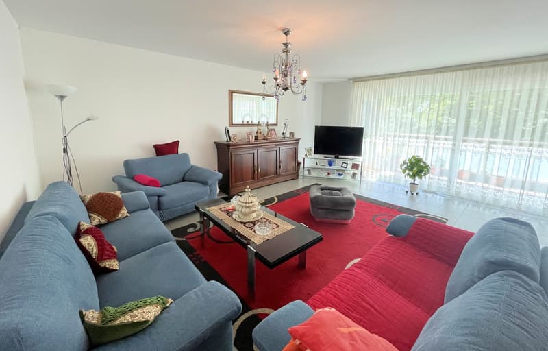 blue sofas, red sofa, ottoman, television, coffee table, window with white curtains, chandelier, table with flowers, plant