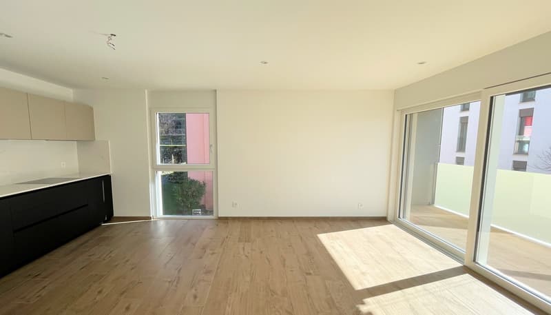 wood floor, black cabinets, white walls, large windows, balcony