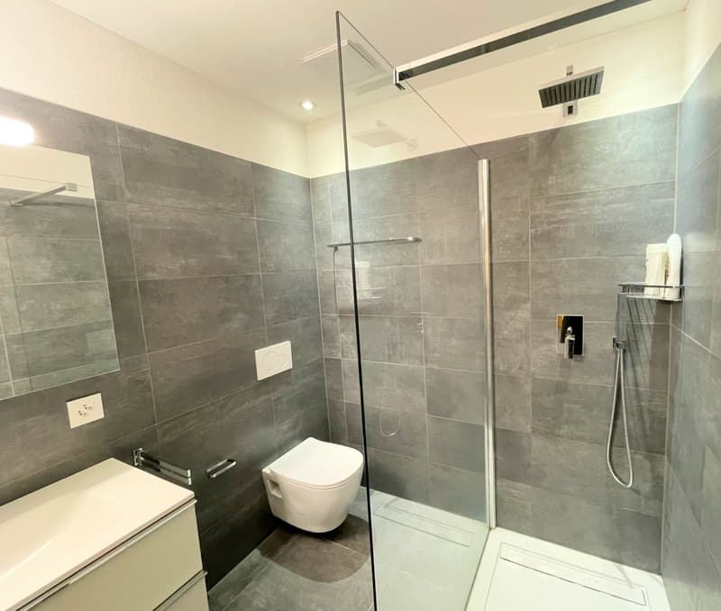 modern bathroom with gray tiles, white toilet, glass shower enclosure, white sink, mirror, power outlet, shower head