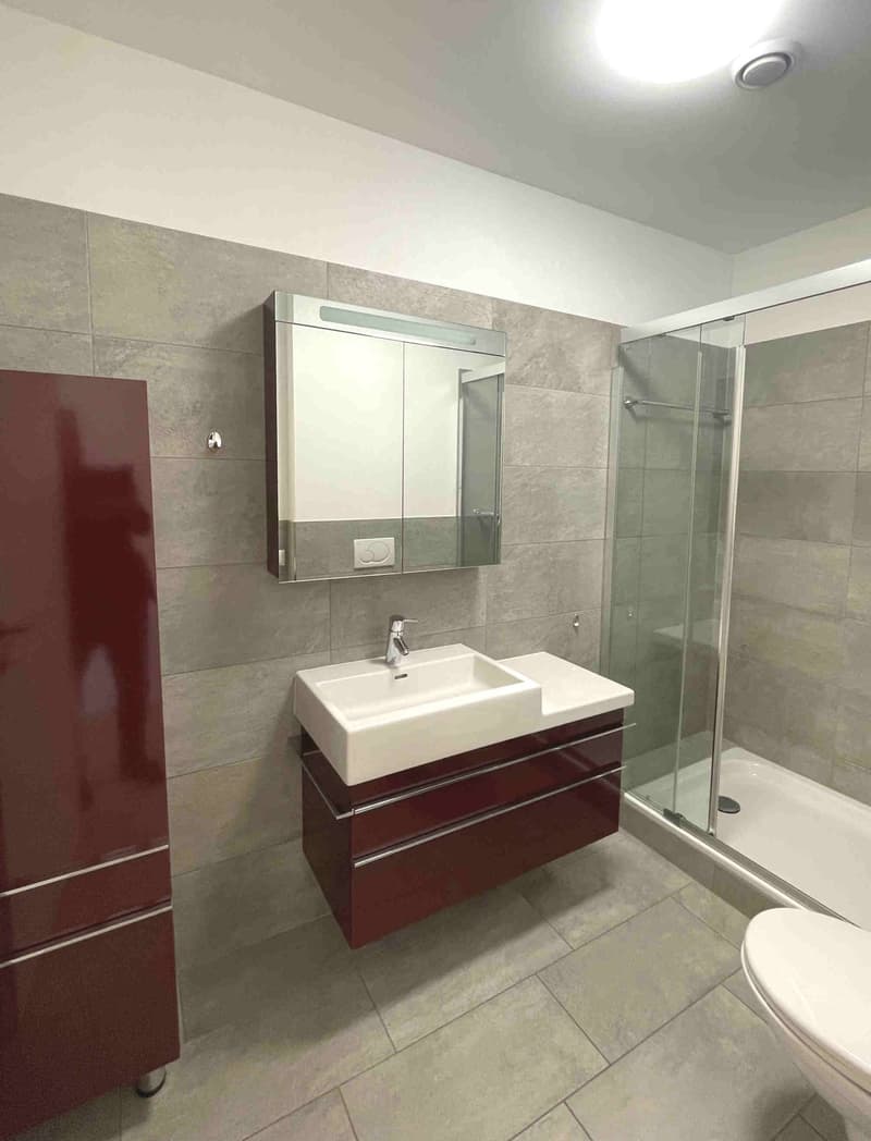 modern bathroom with a white sink, a mirror, a shower, and a toilet