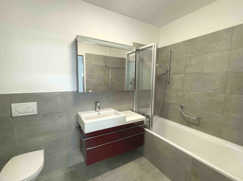 modern bathroom with white bathtub, white sink, red cabinet, mirror, shower, toilet
