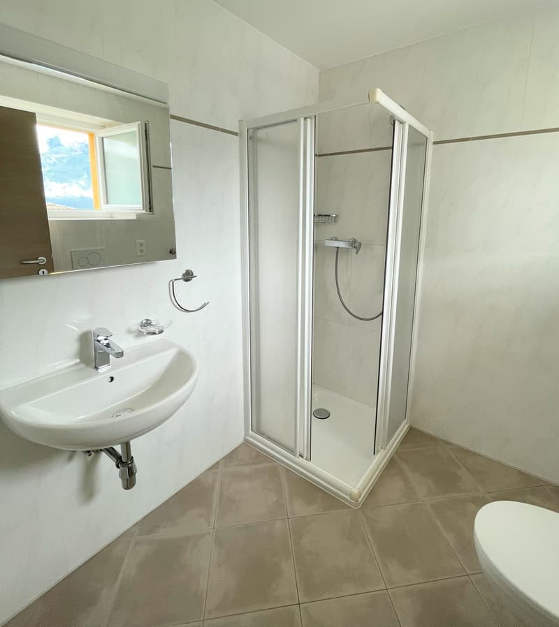 Bathroom with white sink, mirror, shower, and toilet