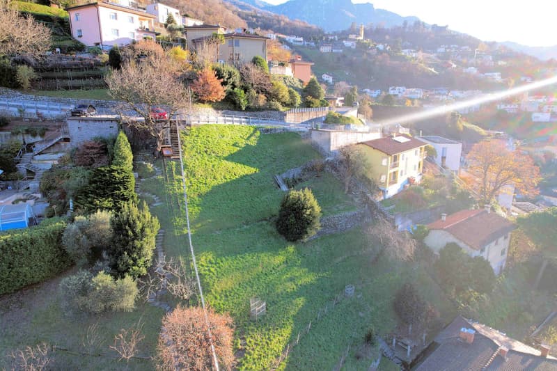 Houses on a hillside, green grass, trees, mountains in the background, road