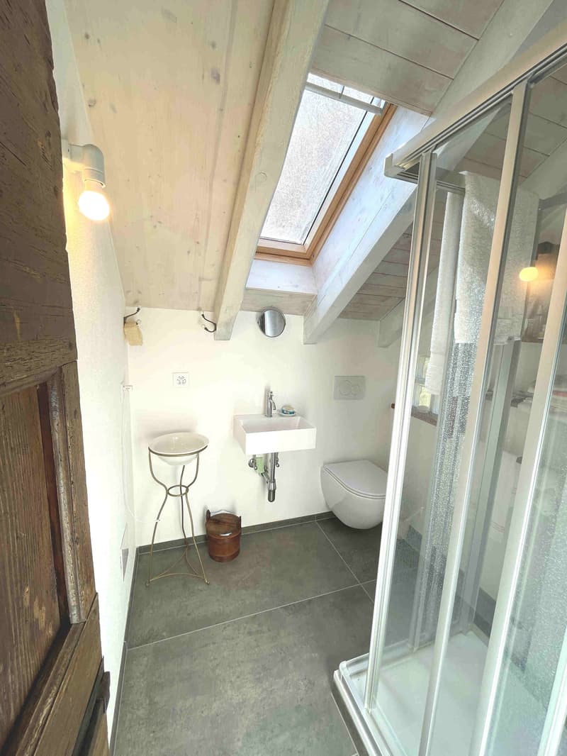 small bathroom with a toilet, sink, shower, and a skylight