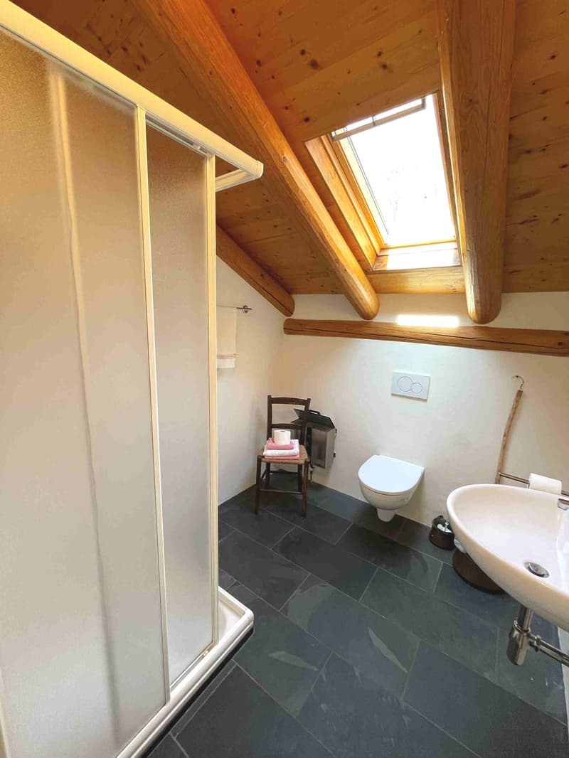 small bathroom with shower, toilet, sink, wooden ceiling, skylight