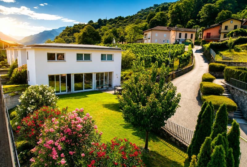 Moderna villetta tra le vigne e le montagne (2)