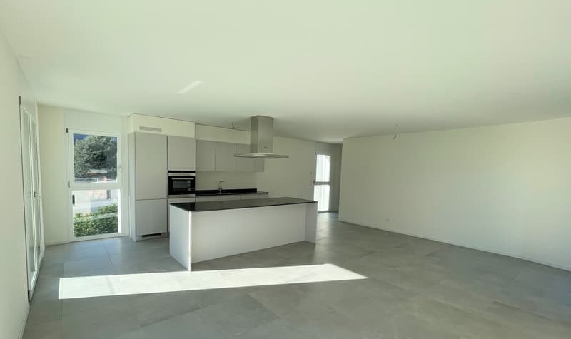 Nouvel appartement au dernier étage dans une résidence élégante (6)