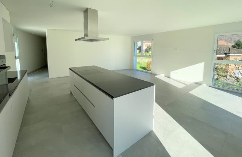 Nouvel appartement au dernier étage dans une résidence élégante (8)
