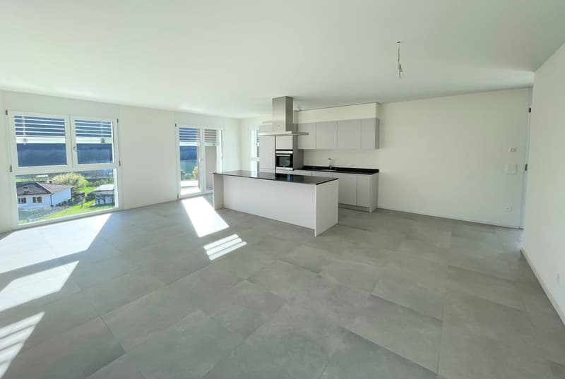 Nouvel appartement au dernier étage dans une résidence élégante (5)
