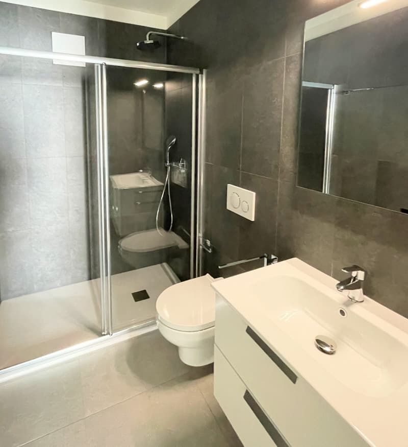 Nouvel appartement au dernier étage dans une résidence élégante (12)