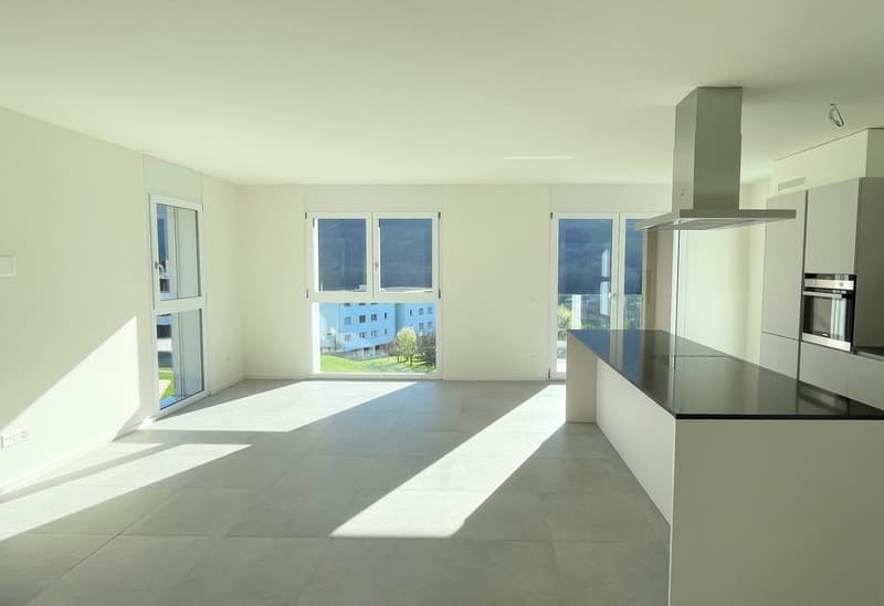 Nouvel appartement au dernier étage dans une résidence élégante (7)