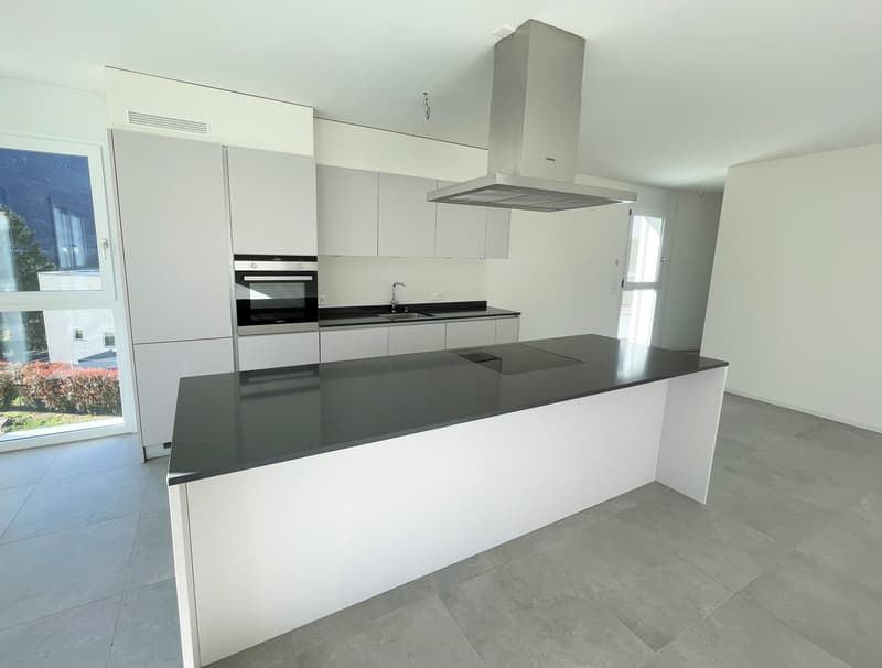 Nouvel appartement au dernier étage dans une résidence élégante (9)